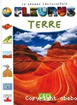 Terre