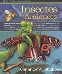 Insectes et araignées